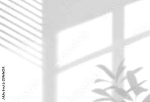 Obraz na plátně Shadow background photo of window blinds and plant foliage on a white wall