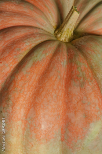 Close Up of Rustic Orange Pumpkin with Stem