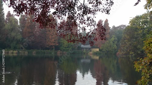 A duck swims peacefully through a calm lake surrounded by autumn