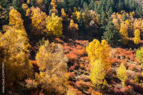 Autumn Landscape in Qinghai, China