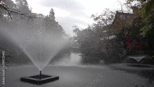 Water fountains spray mist over a serene pond.