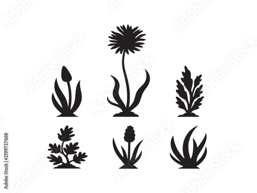 Set of black aquatic plant silhouettes isolated on a white background