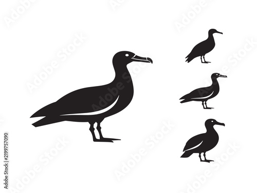 Black silhouette icons of albatross birds standing on a white background