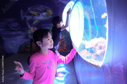 Asian Child Looking at Fish Tank in Aquarium