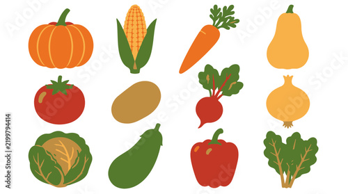 Set of Fresh Vegetable Icons Including Pumpkin Corn Carrot and Cabbage Vector Illustration