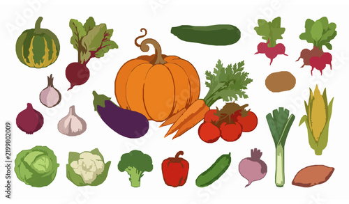 Realistic Autumn Vegetable Collection Pumpkin Eggplant Carrot Tomato Vector