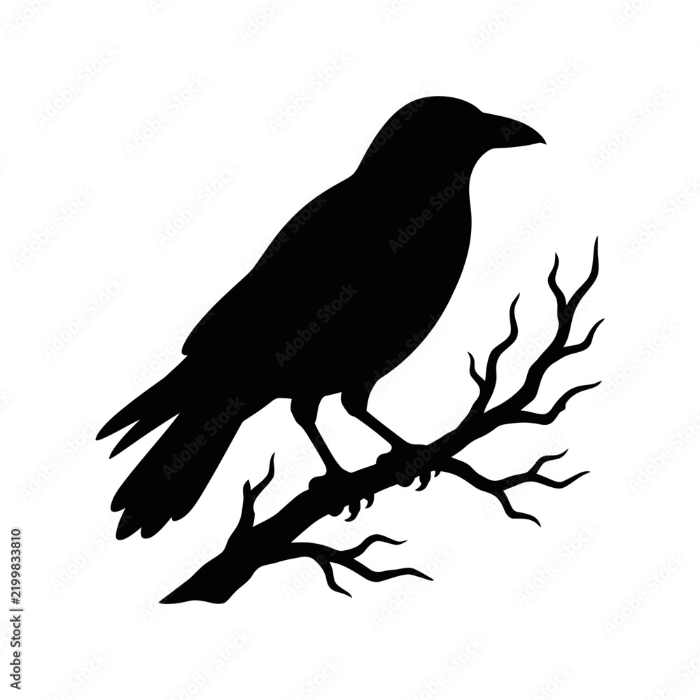 Fototapeta premium Black raven silhouette perched on a bare tree branch Editable_EPS