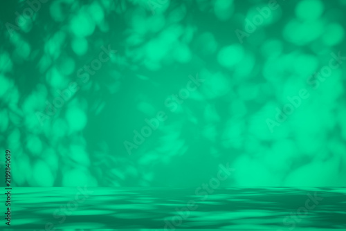 Wall interior background, studio and backdrops show products. with leaf shadow leaf from window color green and white. background for text insertion and presentation of product	
