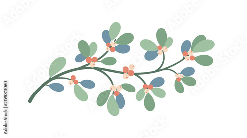 Mistletoe branch with berries vector illustration, winter botanical foliage, festive Christmas greenery element