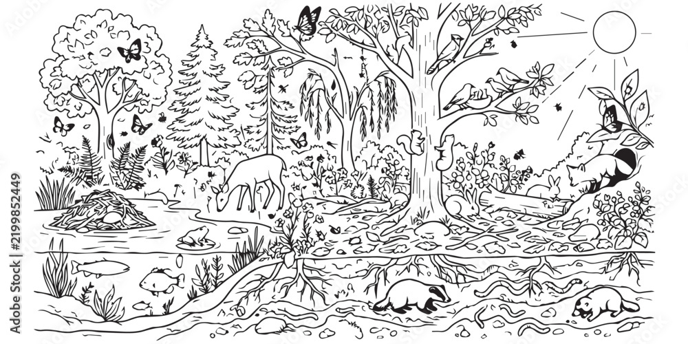 Fototapeta premium Black and white forest ecosystem illustration with wildlife and underground burrow cross section. Detailed line art drawing of a forest habitat featuring animals, trees, and an underground burrow view