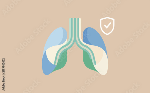Human lungs anatomy with protection shield