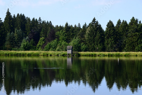 Park in Summer in Hahnenklee in the Harz Mountains, Lower Saxony