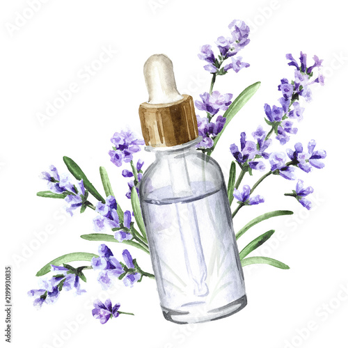 Lavender serum,  essential oil. Original Hand drawn watercolor illustration, isolated on white background