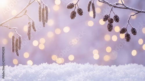 Winter Frosty Alder Branches with Bokeh Lights and Snow Background