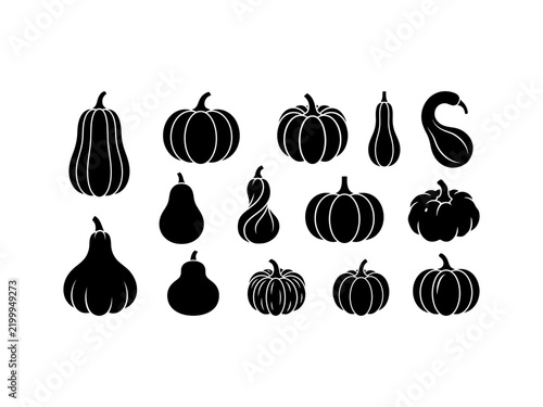 Black and white pumpkin and gourd vector icons set