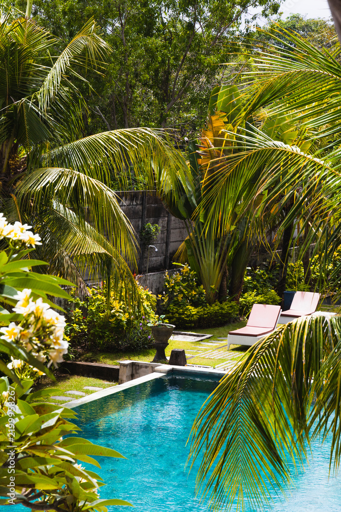 Obraz premium tropical garden with a swimming pool