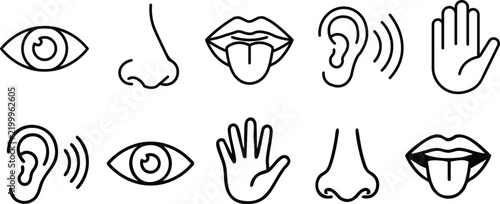 Five human senses icons representing sight hearing smell taste and touch vector illustration
