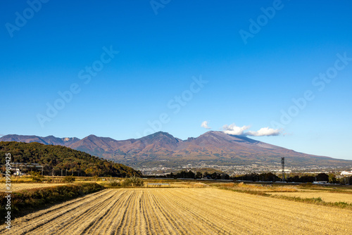 Fototapeta 澄み切った秋空と広大な畑の向こうに広がる色づいた浅間山の山並み