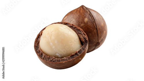 Whole natural raw macadamia nut in shell kernel isolated on transparent background.