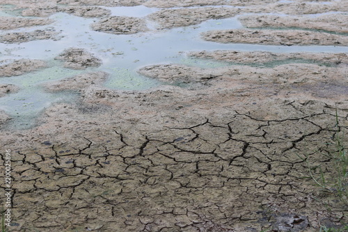 Cracked Dry Mudflat with Shallow Water and Green Algae in a Drought Affected Wetland Landscape.