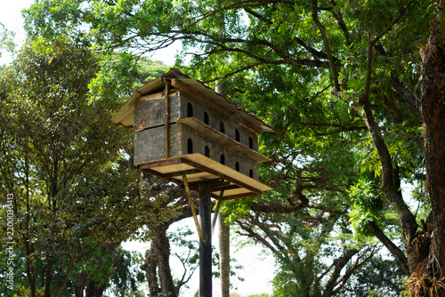Fotografie a dovecote nestled among the lush trees