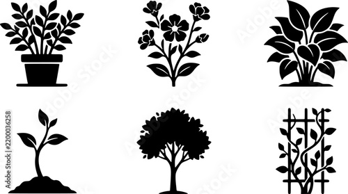 Black silhouette collection of various plant types and growth stages