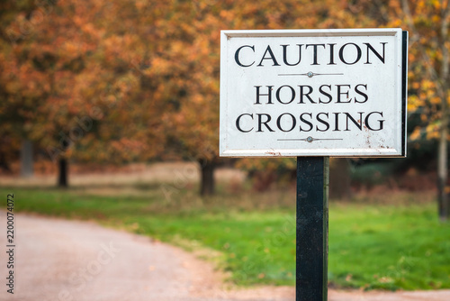 A caution horses crossing sign standing in front of a walking path lined with autumn trees in Windsor Great Park, Berkshire, England