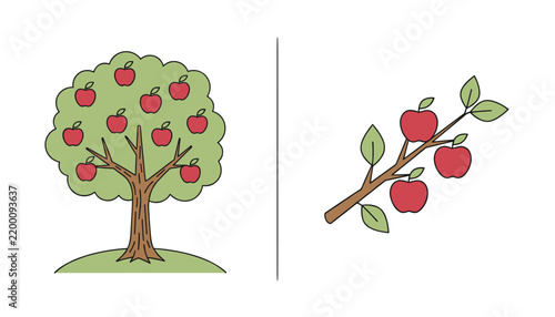 Obraz na plátne Apple tree with red fruits and a separate branch with apples