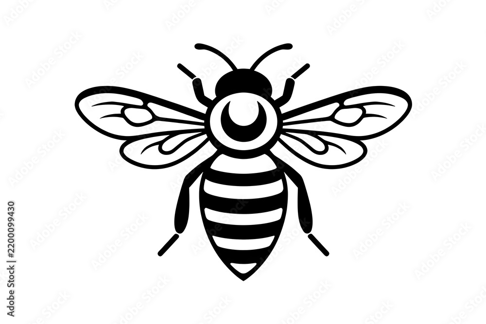 Fototapeta premium Simple black outlined bee with round eyes