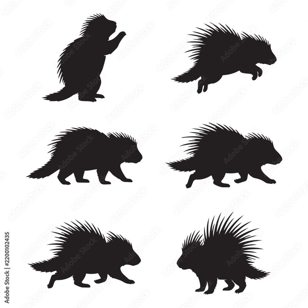 Fototapeta premium Collection of Porcupine silhouettes designs
