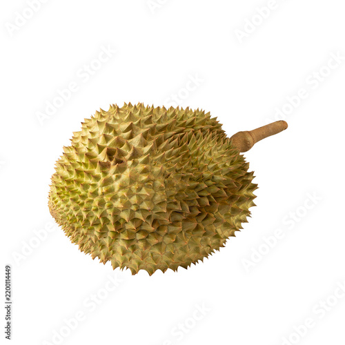 Durian, cutout, full depth of field.