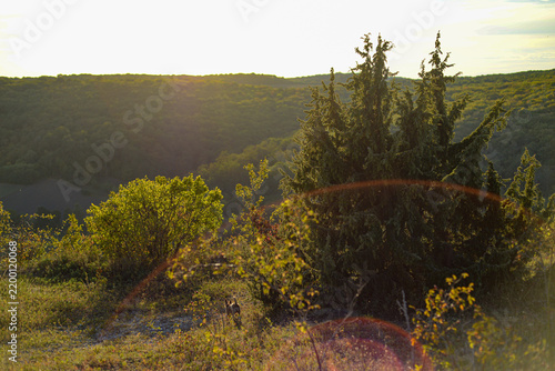 Beautiful rolling hills in autumn light