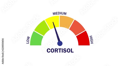 Animation showing a decrease in cortisol stress hormone levels; the cortisol indicator needle points to 