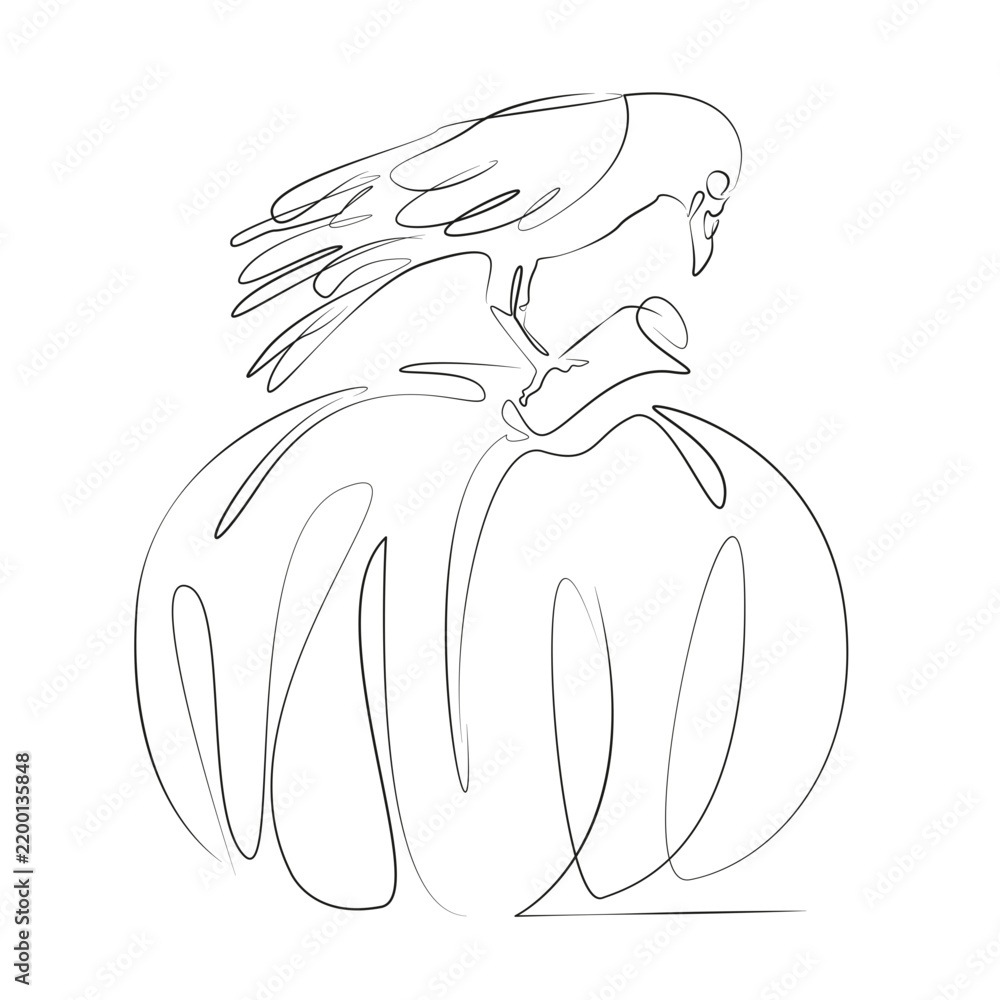 Obraz premium One continuous line drawing on white isolated background. Minimalism linear illustration. halloween, pumpkin, autumn, skittish, graphic, raven, illustration, bird, black, decoration