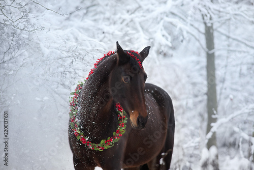 Horse in christmas wreath in snow forest