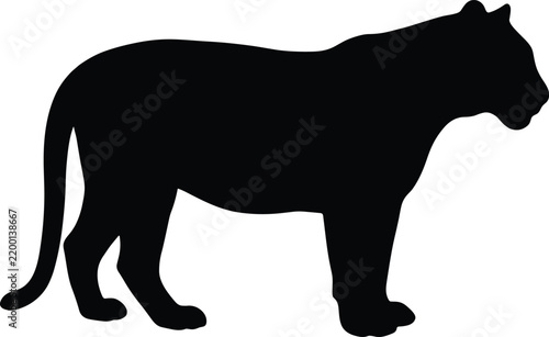 Canvas Print Standing black panther silhouette vector illustration of a calm wild big cat wit