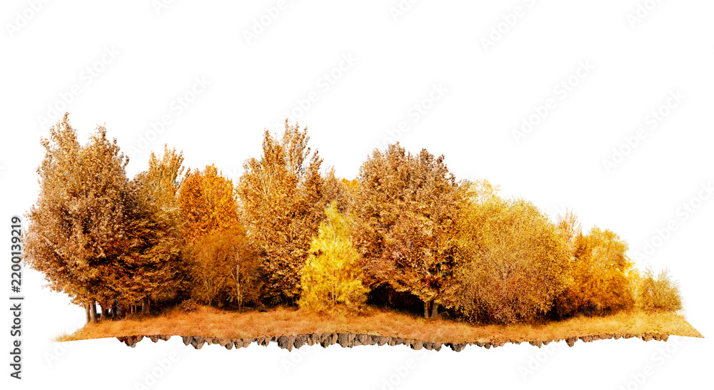 Obraz premium autumn tree line forest with dry grass isolated on transparent background