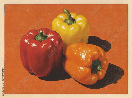 Three bell peppers red yellow orange on warm terracotta background