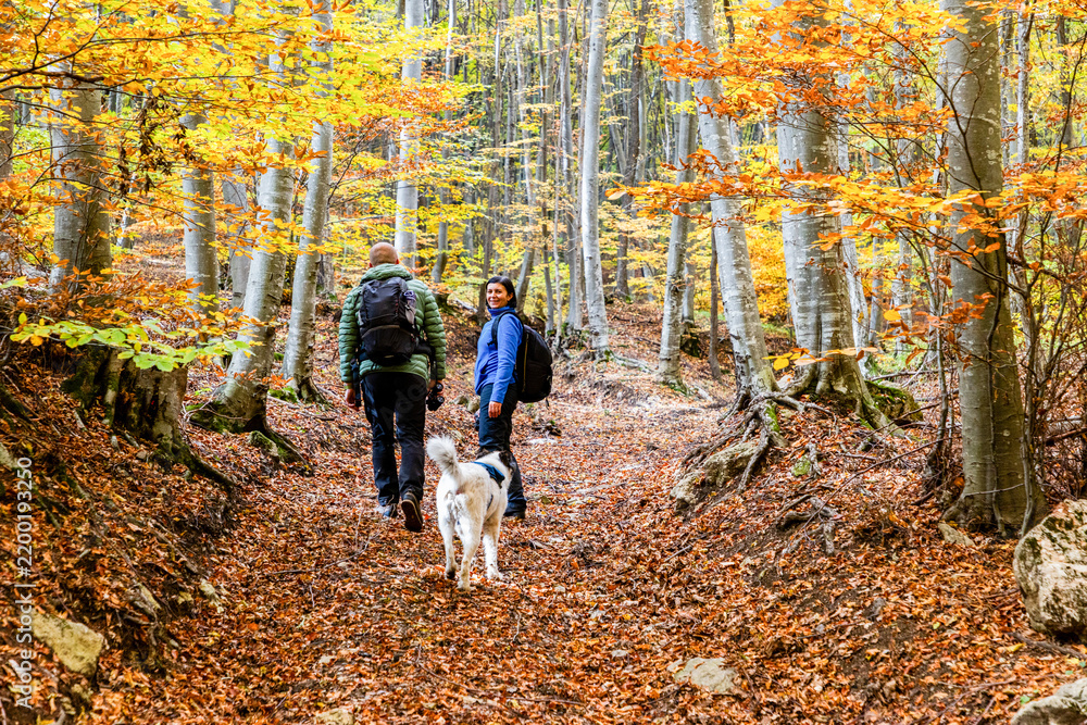 Obraz premium couple in autumn forest with dog