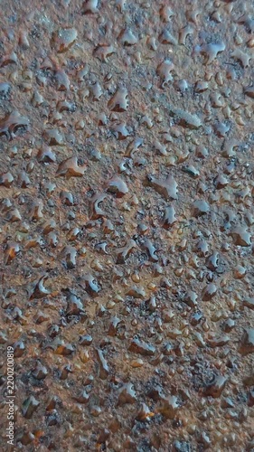 water droplets resting on a rough, weathered