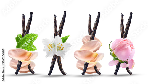  Vanilla stick with flowers on white background