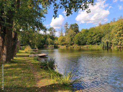 Beautiful calm lake surrounded by green trees on a sunny day.