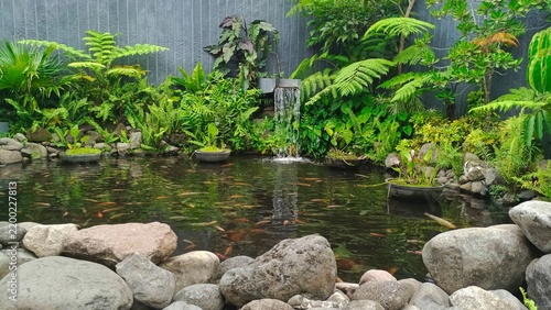 beautiful fish pond surrounded by plants, leaves and rocks. with a small artificial waterfall