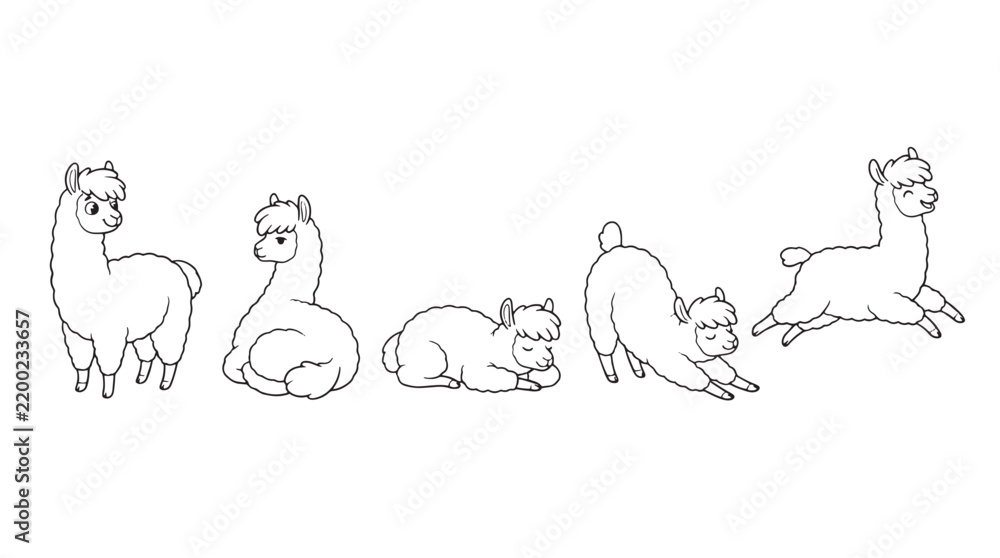 Obraz premium Minimalist alpaca line art collection, set of 5 cute llama character vectors, hand drawn doodle illustrations of fluffy farm animals isolated on Transparent Background