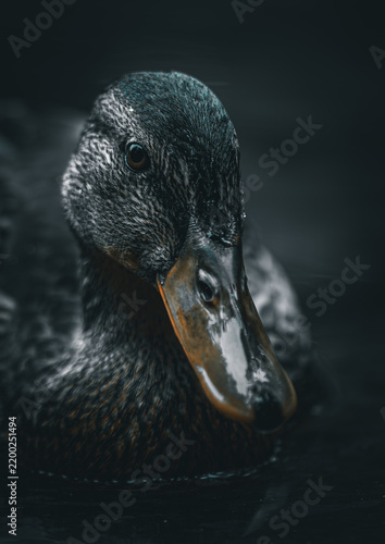 Duckface