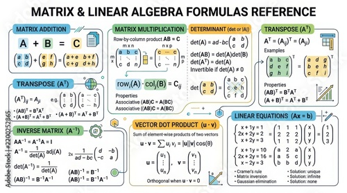 Educational professional analyzing matrix and linear algebra formulas on a whiteboard in a classroom setting with natural lighting