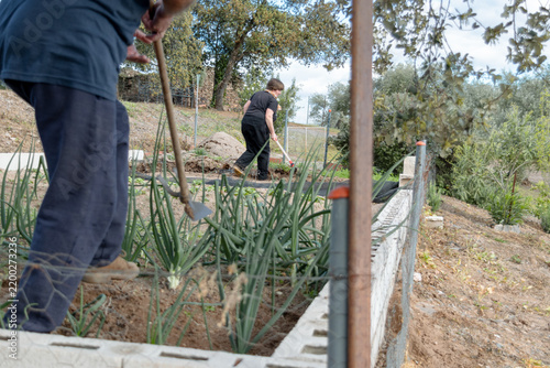 Agricultural workers tend to their vegetable garden.