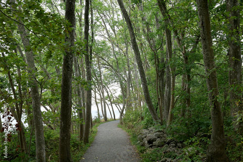 Obraz w ramie Footpath