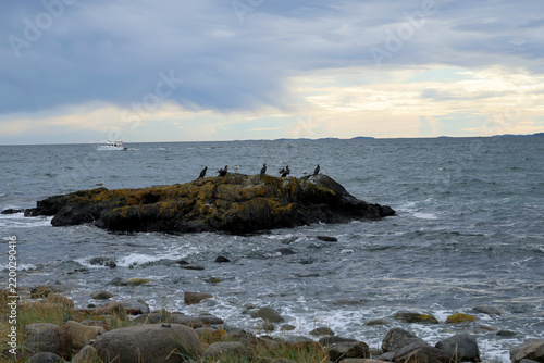 Plakat Coastline