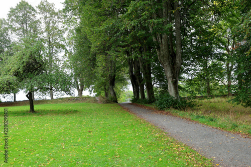 Obraz w ramie Park